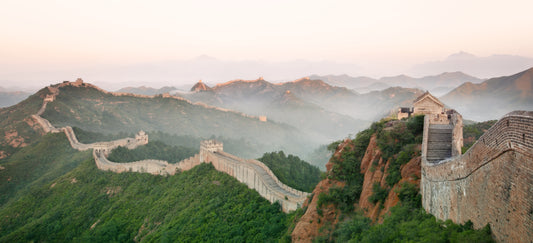 The China Study