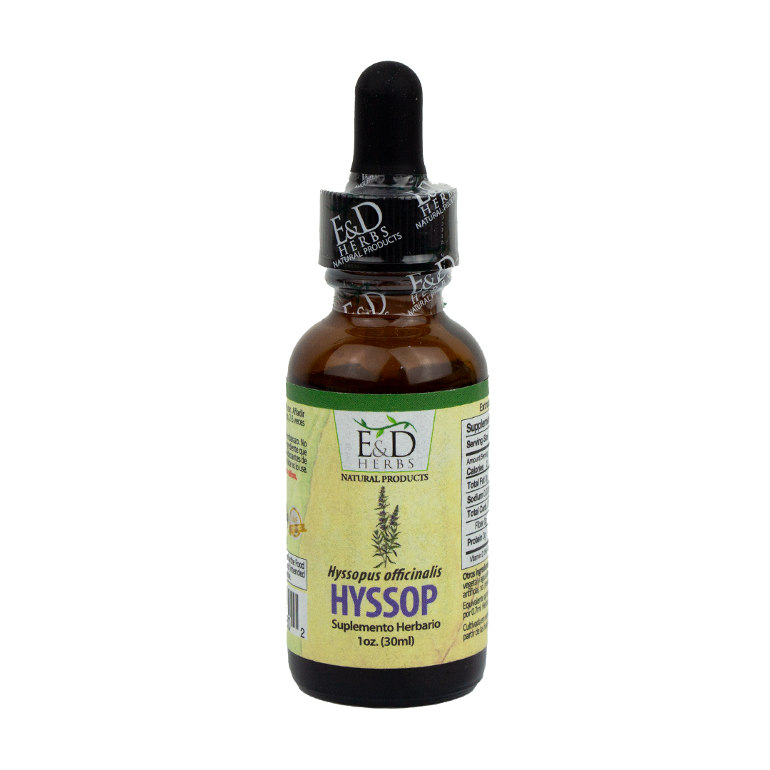 E&D Herbs - Hyssop Tincture