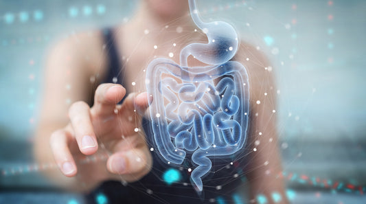 Salud del colon