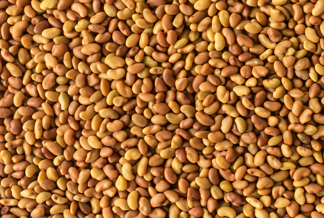 Handy Pantry - Alfalfa Sprouting Seeds 4oz