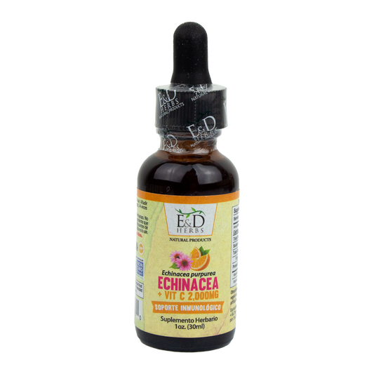 E&D Herbs - Echinacea + Vitamin C Tincture