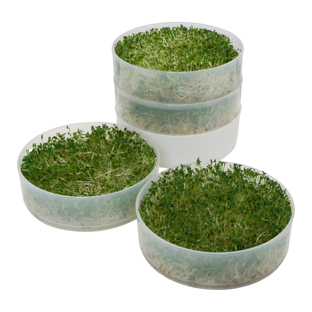 Kitchen Crop - Four Tray Seed Sprouter